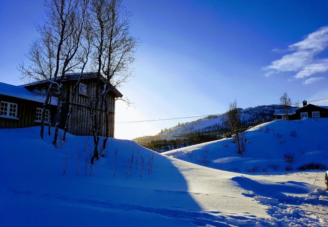 Cabin in Hol - Spacious cabin with Sunny Location! Cabin in Hol - Spacious cabin with Sunny Location!