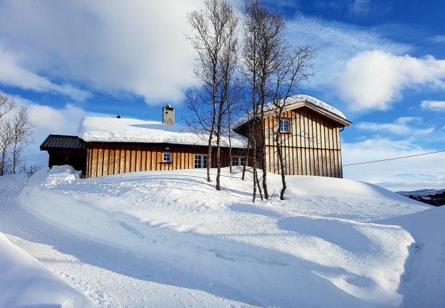 Cabin in Hol - Spacious cabin with Sunny Location! Cabin in Hol - Spacious cabin with Sunny Location!