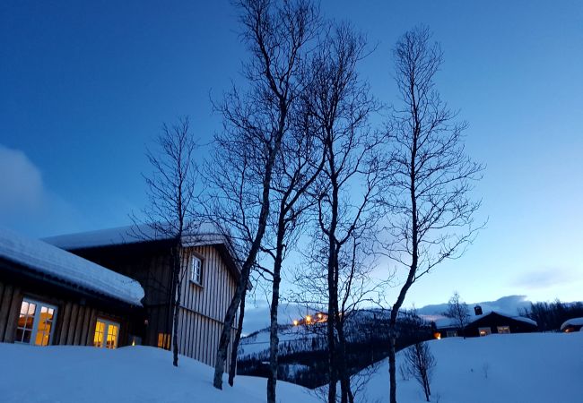 Cabin in Hol - Spacious cabin with Sunny Location! Cabin in Hol - Spacious cabin with Sunny Location!