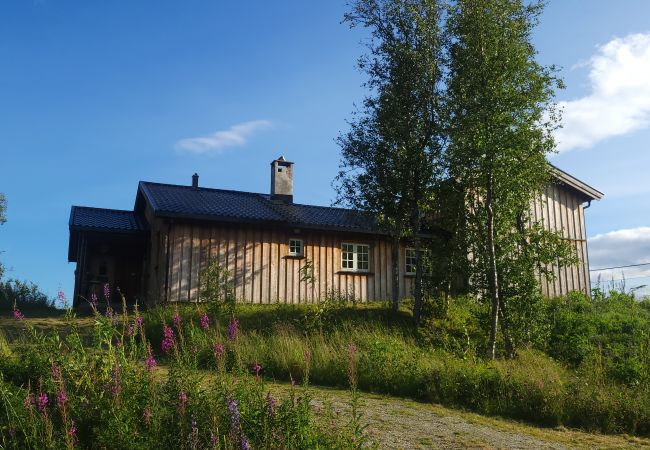 Cabin in Hol - Spacious cabin with Sunny Location! Cabin in Hol - Spacious cabin with Sunny Location!