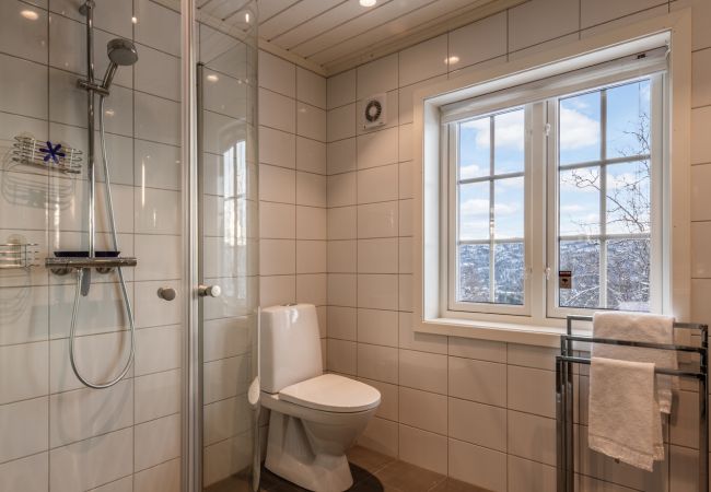 Cabin in Hol - Spacious cabin with Sunny Location! Cabin in Hol - Spacious cabin with Sunny Location!