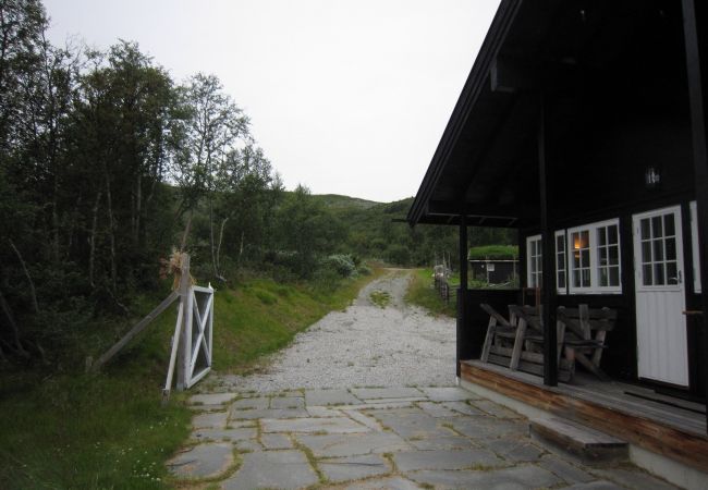 Cabin in Hol - Såballie - Cosy cabin - sunny location! Cabin in Hol - Såballie - Cosy cabin - sunny location!