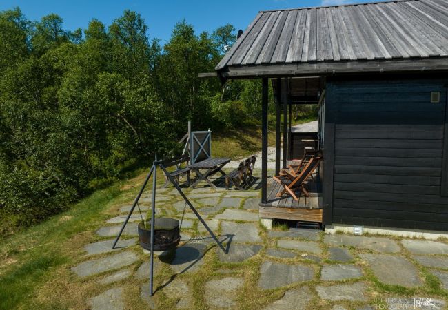 Cabin in Hol - Såballie - Cosy cabin - sunny location! Cabin in Hol - Såballie - Cosy cabin - sunny location!