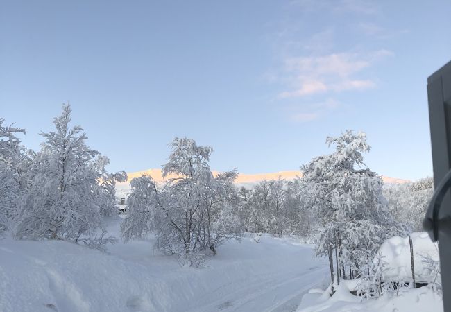 Cabin in Hol - Såballie - Cosy cabin - sunny location!