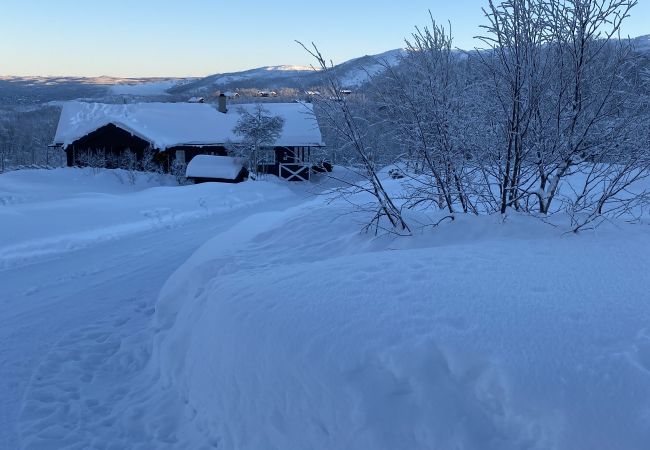 Cabin in Hol - Såballie - Cosy cabin - sunny location! Cabin in Hol - Såballie - Cosy cabin - sunny location!
