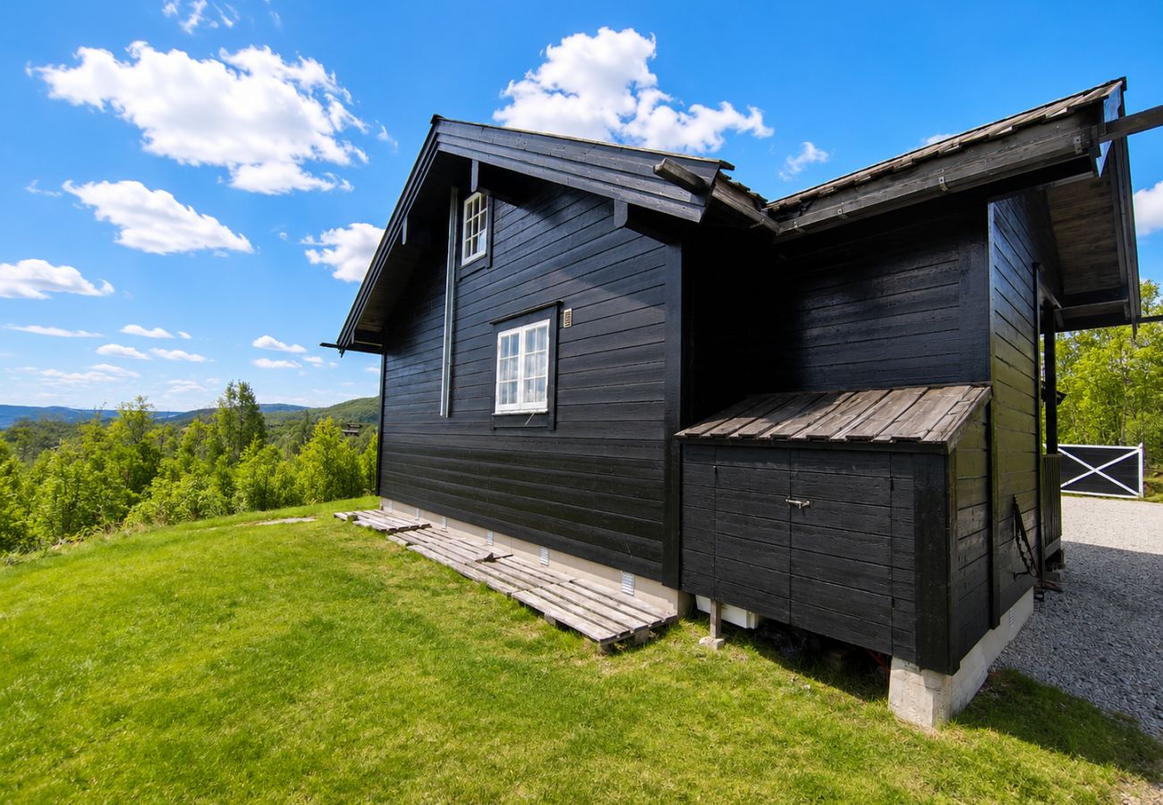 Cabin in Hol - Såballie - Cosy cabin - sunny location!