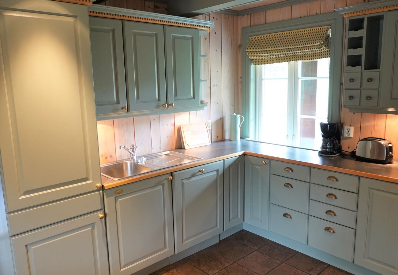 Apartment in Hemsedal - Charming apartment with terrace and mountain view