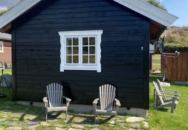 Cabin in Hol - Charming mountain cabin in  beautiful Ustaoset centre Cabin in Hol - Charming mountain cabin in  beautiful Ustaoset centre