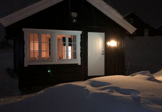 Cabin in Hol - Charming mountain cabin in  beautiful Ustaoset centre Cabin in Hol - Charming mountain cabin in  beautiful Ustaoset centre