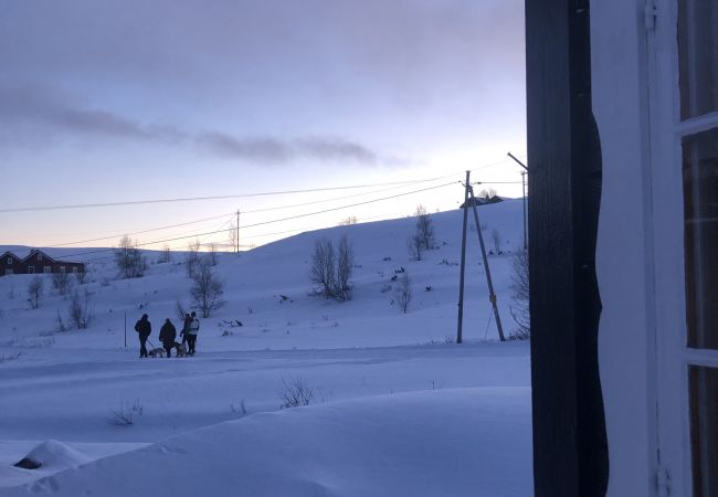 Cabin in Hol - Charming mountain cabin in  beautiful Ustaoset centre Cabin in Hol - Charming mountain cabin in  beautiful Ustaoset centre
