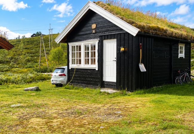 Cabin in Hol - Charming mountain cabin in  beautiful Ustaoset centre