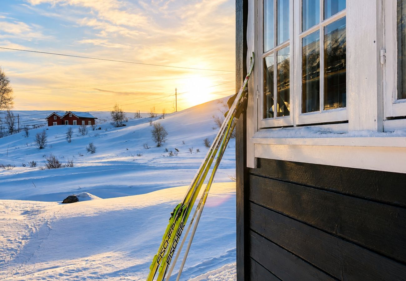 Cabin in Hol - Charming mountain cabin in  beautiful Ustaoset centre