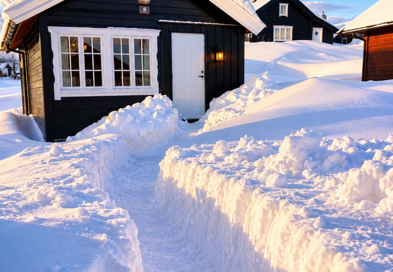 Cabin in Hol - Charming mountain cabin in  beautiful Ustaoset centre