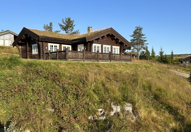 Cabin in Gol - Charming Log Cabin with 3 Bedrooms on Golsfjellet