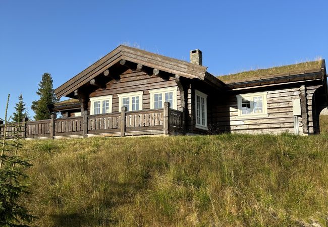 Cabin in Gol - Charming Log Cabin with 3 Bedrooms on Golsfjellet