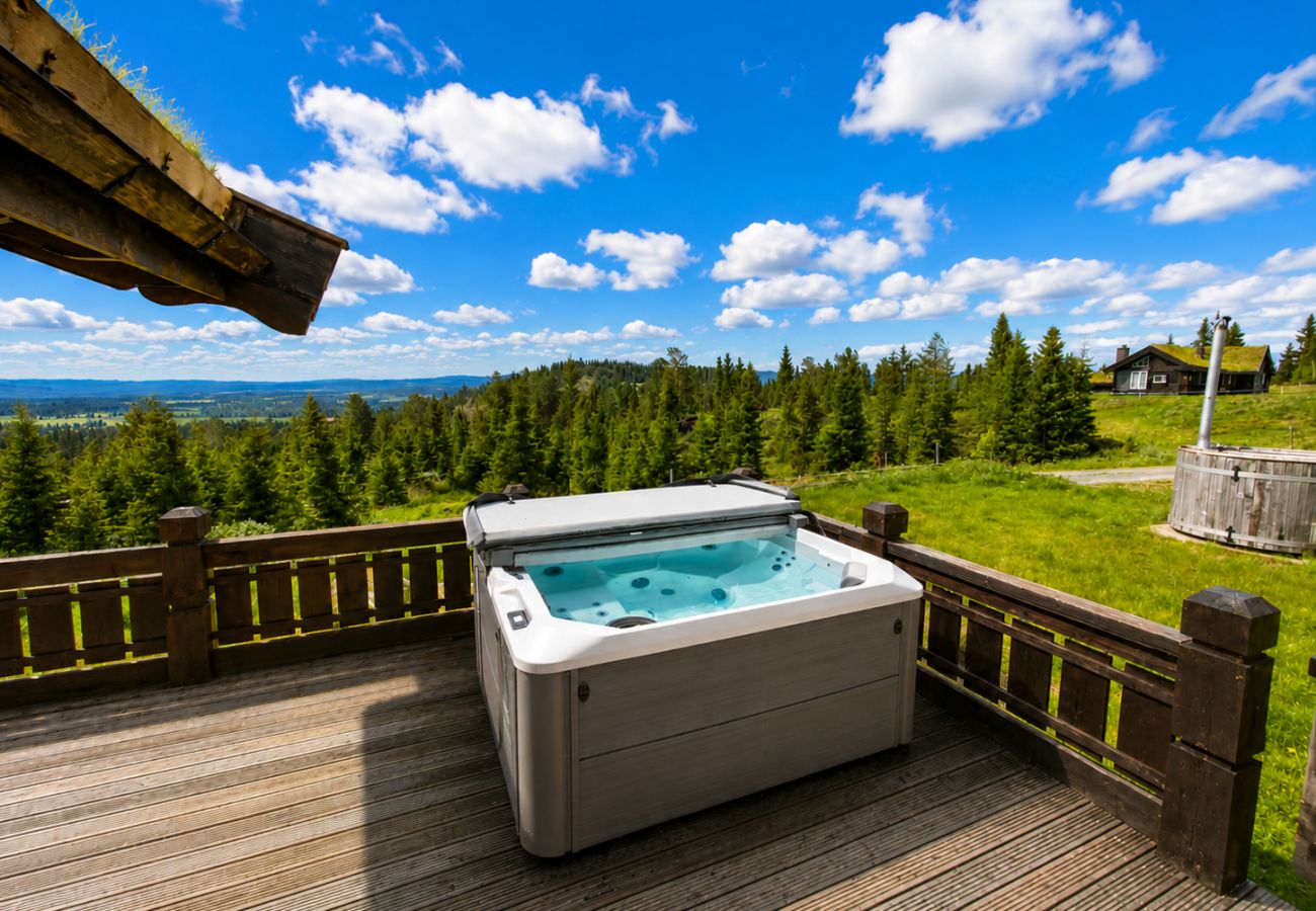 Cottage in Gol - Dream mountain cabin with jacuzzi and views