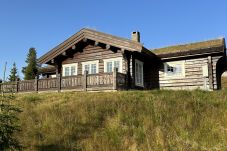 Cabin in Gol - Charming Log Cabin with 3 Bedrooms on...
