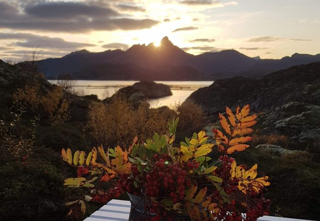 Cabin in Vestvågøy - Unique private cabin in Lofoten Cabin in Vestvågøy - Unique private cabin in Lofoten