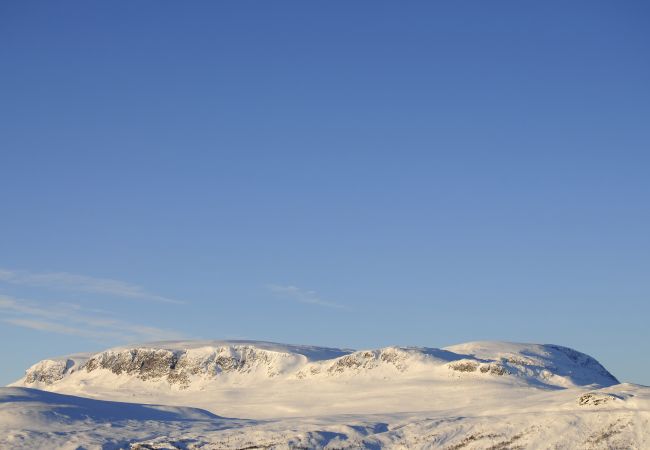 Cabin in Hol - New mountain lodge at Geilo Kikut Great location Cabin in Hol - New mountain lodge at Geilo Kikut Great location