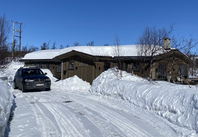 Cabin in Hol - New mountain lodge at Geilo Kikut Great location Cabin in Hol - New mountain lodge at Geilo Kikut Great location