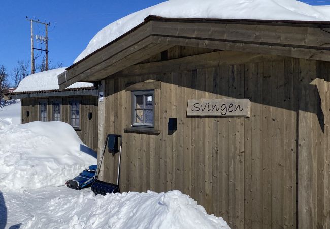 Cabin in Hol - New mountain lodge at Geilo Kikut Great location Cabin in Hol - New mountain lodge at Geilo Kikut Great location