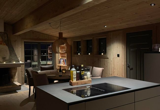 Cabin in Hol - New mountain lodge at Geilo Kikut Great location Cabin in Hol - New mountain lodge at Geilo Kikut Great location