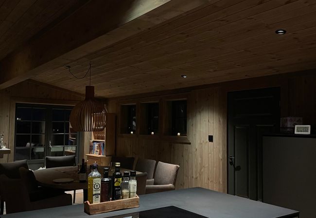 Cabin in Hol - New mountain lodge at Geilo Kikut Great location Cabin in Hol - New mountain lodge at Geilo Kikut Great location