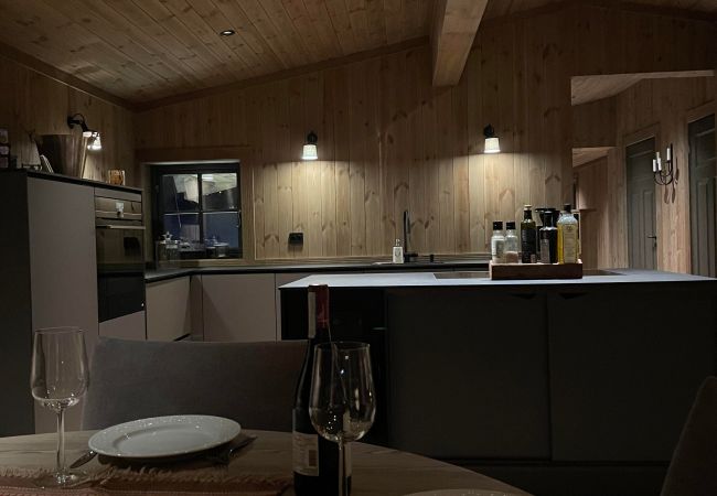 Cabin in Hol - New mountain lodge at Geilo Kikut Great location Cabin in Hol - New mountain lodge at Geilo Kikut Great location