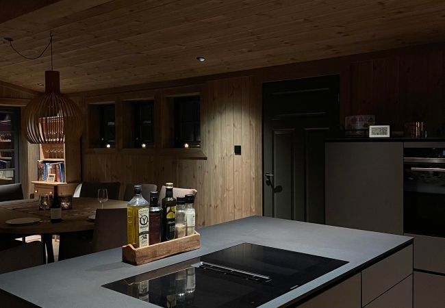 Cabin in Hol - New mountain lodge at Geilo Kikut Great location Cabin in Hol - New mountain lodge at Geilo Kikut Great location