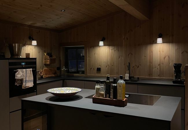 Cabin in Hol - New mountain lodge at Geilo Kikut Great location Cabin in Hol - New mountain lodge at Geilo Kikut Great location