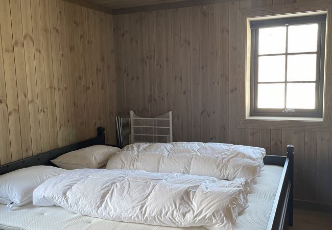 Cabin in Hol - New mountain lodge at Geilo Kikut Great location Cabin in Hol - New mountain lodge at Geilo Kikut Great location