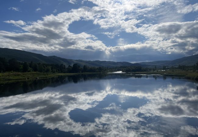 Apartment in Hol - Beautiful apartment - high standard - Geilo centre Apartment in Hol - Beautiful apartment - high standard - Geilo centre