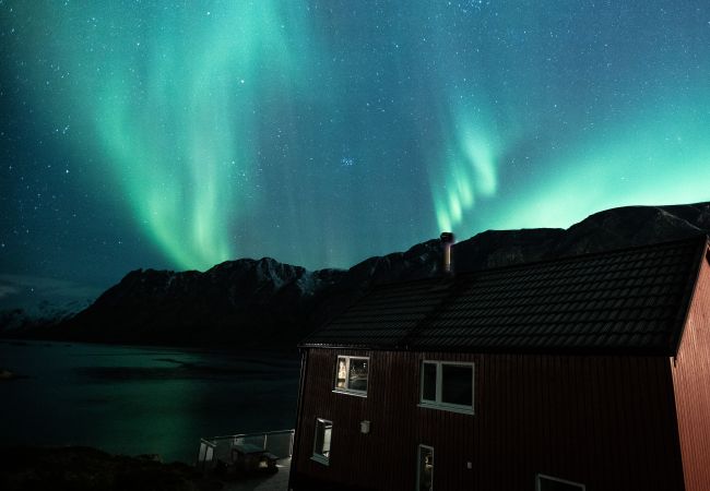 Cabin in Vestvågøy - Cabin in Lofoten with spectacular view Cabin in Vestvågøy - Cabin in Lofoten with spectacular view