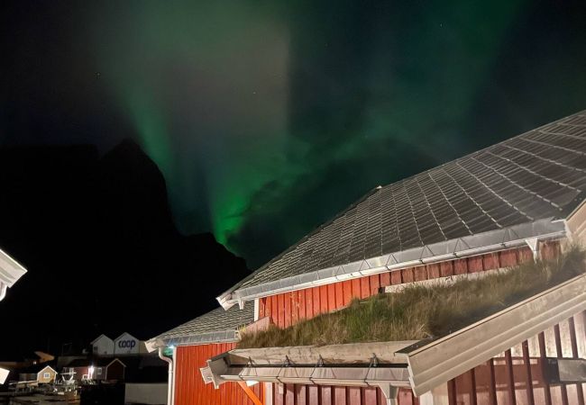 Cabin in Moskenes - Amaliebua - Reine rorbu, Lofoten Cabin in Moskenes - Amaliebua - Reine rorbu, Lofoten