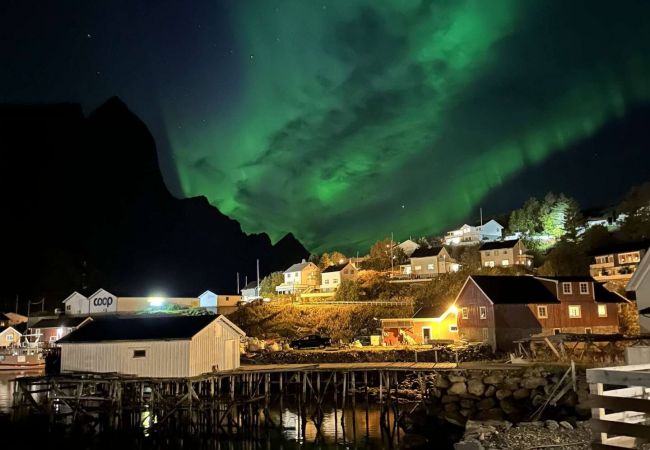 Cabin in Moskenes - Amaliebua - Reine rorbu, Lofoten Cabin in Moskenes - Amaliebua - Reine rorbu, Lofoten