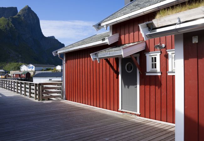 Cabin in Moskenes - Amaliebua - Reine rorbu, Lofoten Cabin in Moskenes - Amaliebua - Reine rorbu, Lofoten