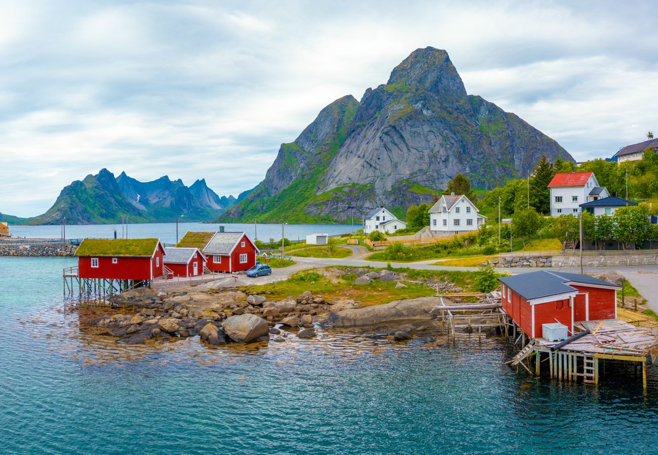 Cabin in Moskenes - Amaliebua - Reine rorbu, Lofoten