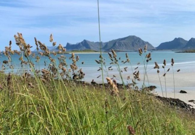 House in Flakstad - Fredvang holiday house, Lofoten House in Flakstad - Fredvang holiday house, Lofoten