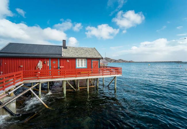 Cabin in Moskenes - Explorers Cabin Lofoten Edge Cabin in Moskenes - Explorers Cabin Lofoten Edge