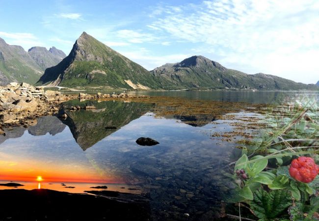 Apartment in Flakstad - Fredvang Seahouse, Apartment B Apartment in Flakstad - Fredvang Seahouse, Apartment B