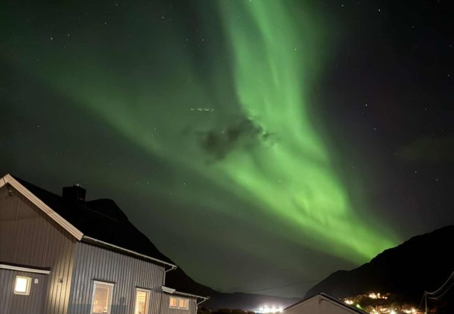 House in Flakstad - Landsbyhus i Lofoten