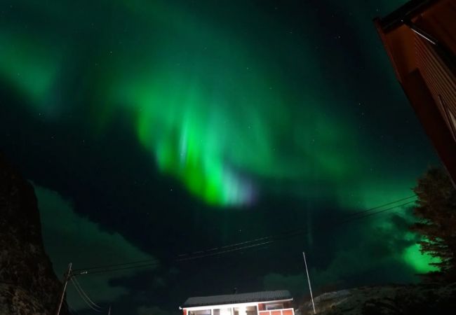 House in Moskenes - Lofoten panoramic luxury home with sauna