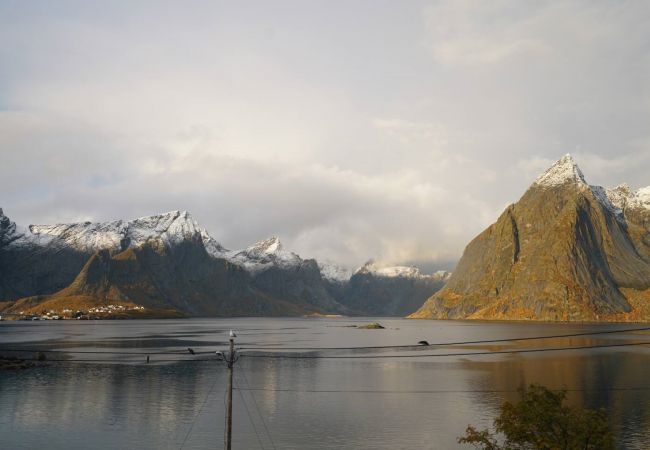 House in Moskenes - Lofoten panoramic luxury home with sauna House in Moskenes - Lofoten panoramic luxury home with sauna