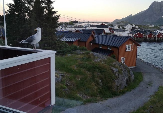 House in Moskenes - Lofoten panoramic luxury home with sauna