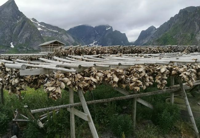 House in Moskenes - Lofoten panoramic luxury home with sauna