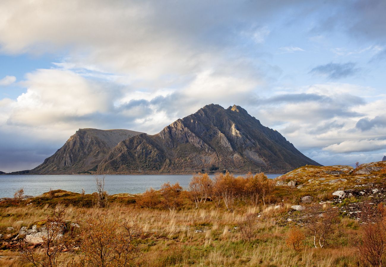 Cabin in Vågan - New lodge at seaside, near Henningsvær Lofoten