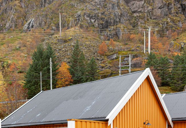 Cabin in Moskenes - Tind 6