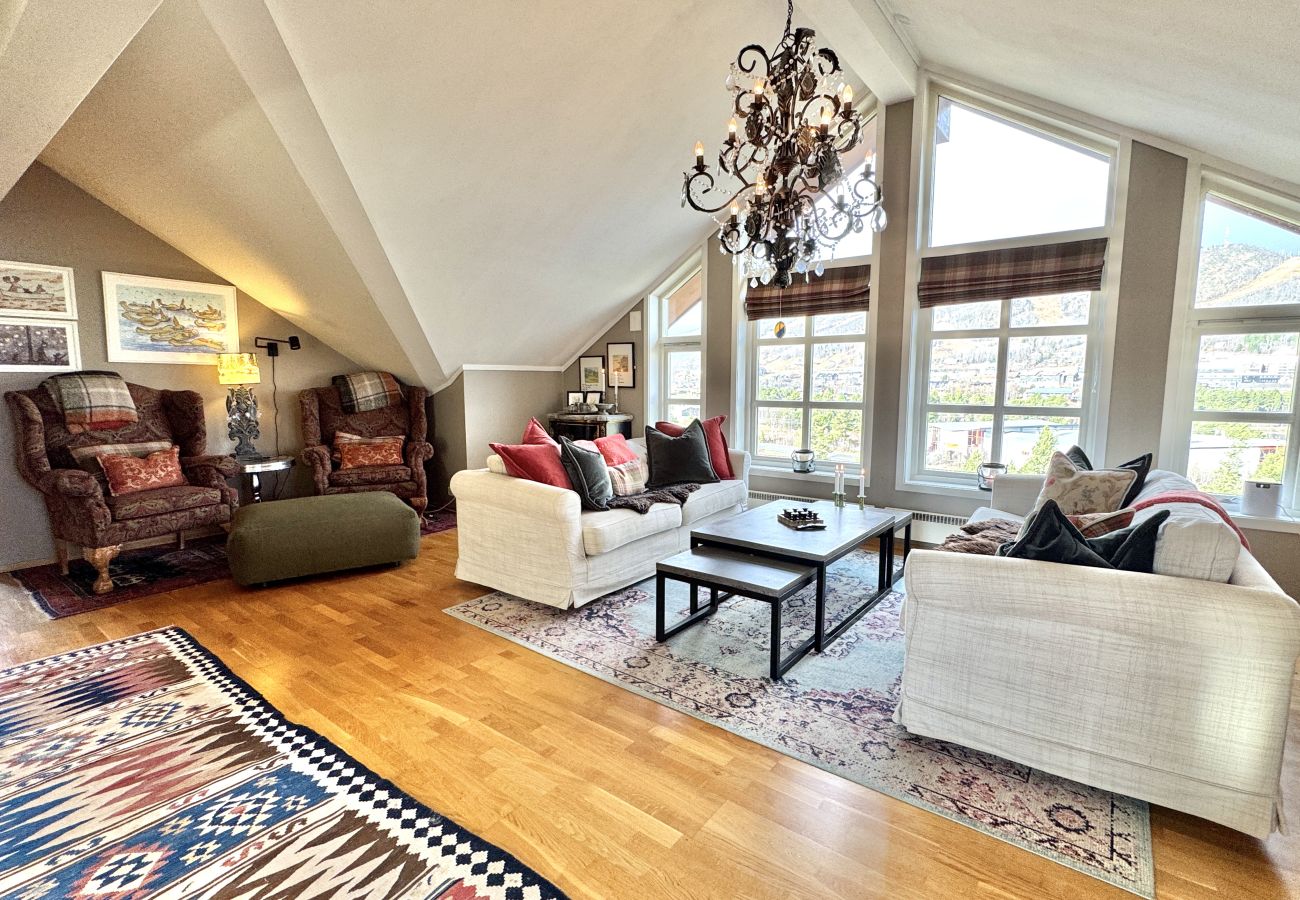 Apartment in Hol - Sjelefred - stor leilighet med sentral beliggenhet Apartment in Hol - Sjelefred - stor leilighet med sentral beliggenhet