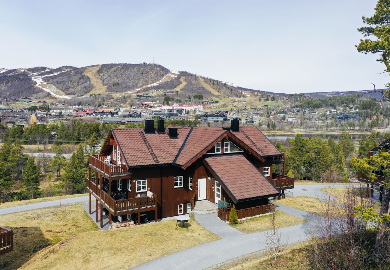 Apartment in Hol - Sjelefred - stor leilighet med sentral beliggenhet Apartment in Hol - Sjelefred - stor leilighet med sentral beliggenhet