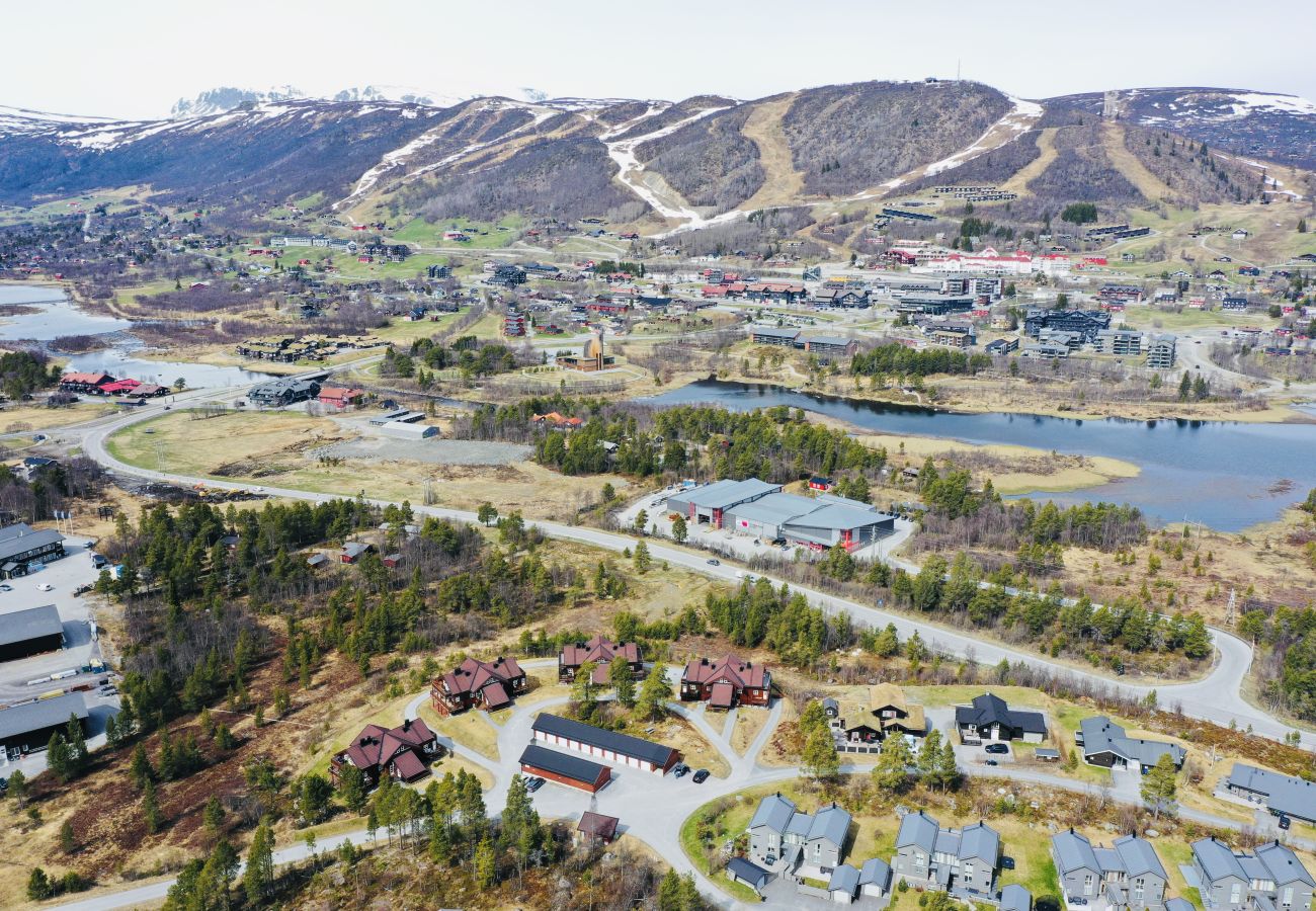 Apartment in Hol - Sjelefred - stor leilighet med sentral beliggenhet Apartment in Hol - Sjelefred - stor leilighet med sentral beliggenhet